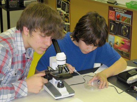 science microscope